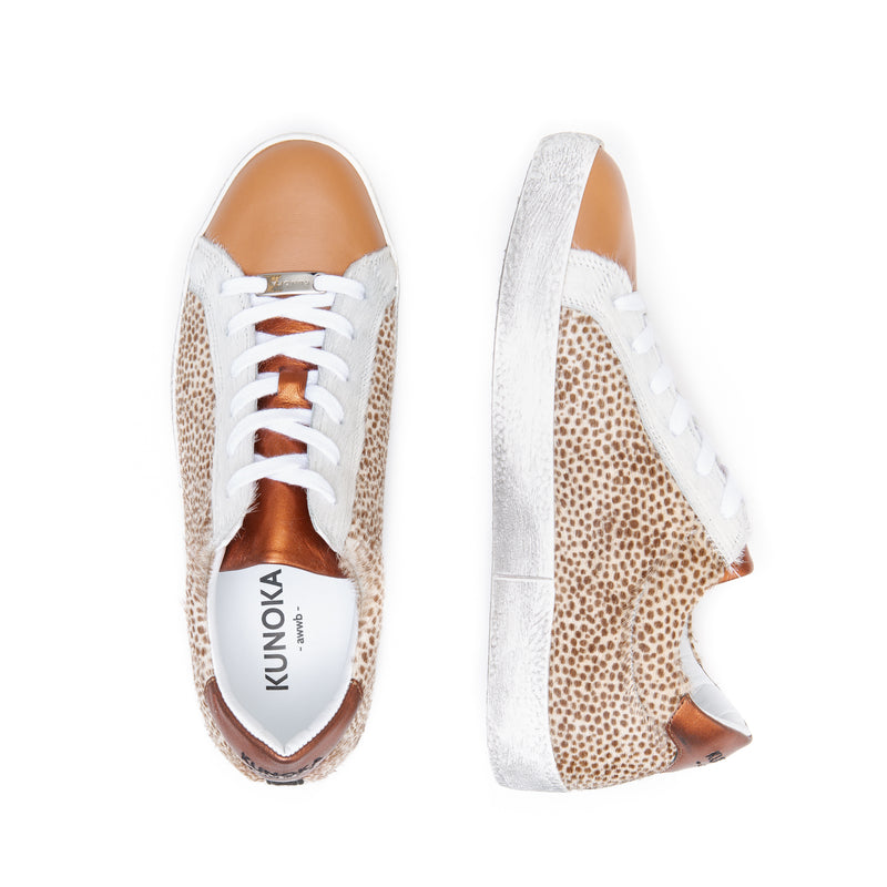 Alex - cheetah
